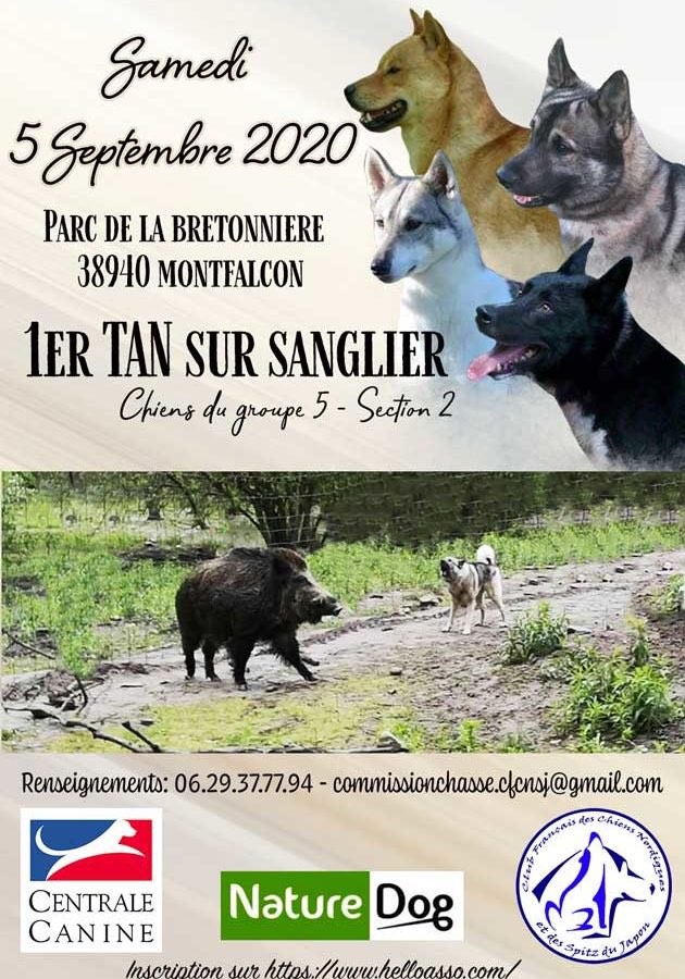 Société Centrale Canine Chien Vie et Santé