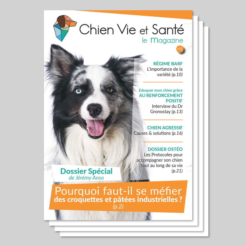 Revue n°03 Rappel, alimentation, réhabilitation de